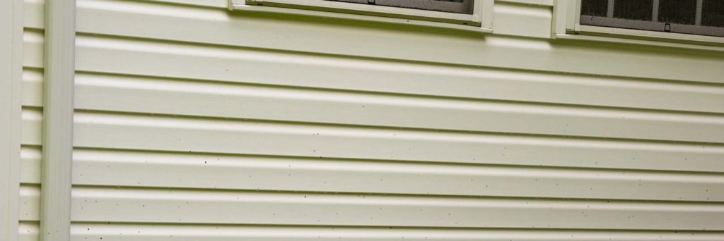 Black dots appearing on whitish vinyl siding, indicating the presence of artillery fungus