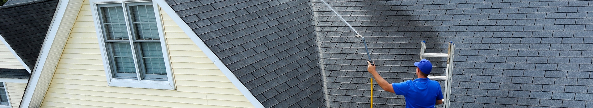 Power washing technician on ladder using low pressure to treat a roof for infestations on home with yellow vinyl siding