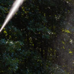 Power washing technician spraying upward while cleaning vinyl siding