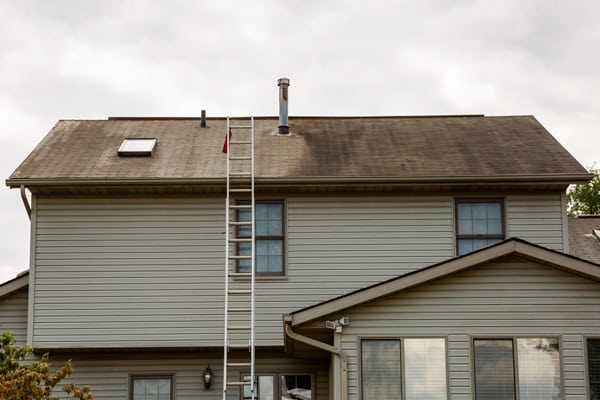 Before and after photo of professional roof treatment service. Untreated portion on the right has black streaking. Treated portion on left looks like a new roof.