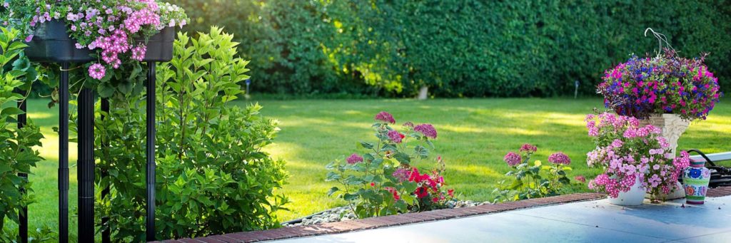 Our outdoor spring cleaning tips include house washing, cleaning flower beds, and more!