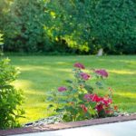 Our outdoor spring cleaning tips include house washing, cleaning flower beds, and more!